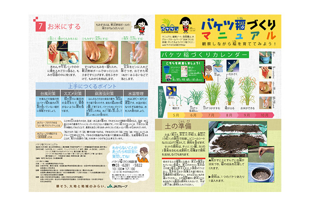 バケツ稲づくりマニュアル